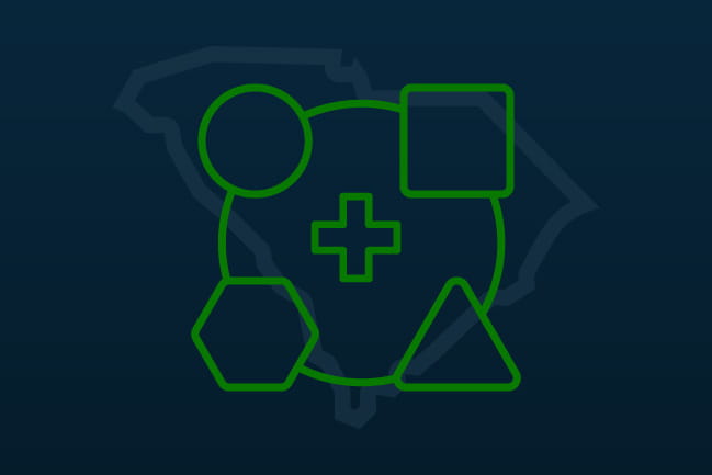 icon of different shapes in a circle with a medical cross in the middle and an outline of South Carolina behind it