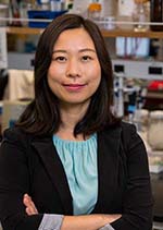 Lu Han, Ph.D., MUSC Hollings Cancer Center